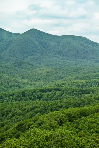 stock image Green Mountain