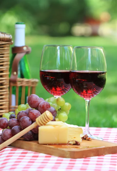 Червоне вино в саду — стокове фото