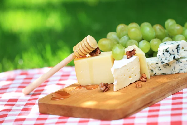 Diverse soorten kaas en druiven — Stockfoto