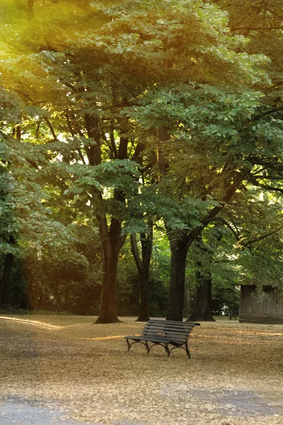 A bench in a autumn park — Stock Photo, Image