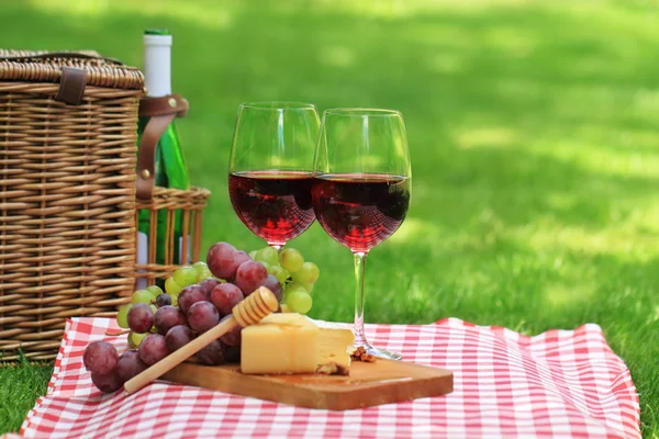 Picknick med rött vin — Stockfoto