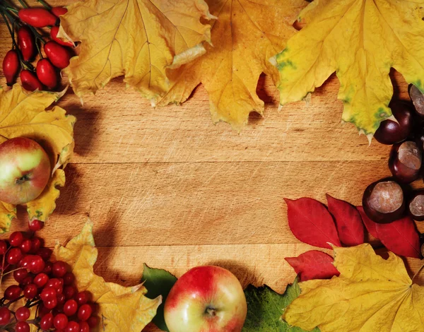 Zátiší s podzimními listy — Stock fotografie