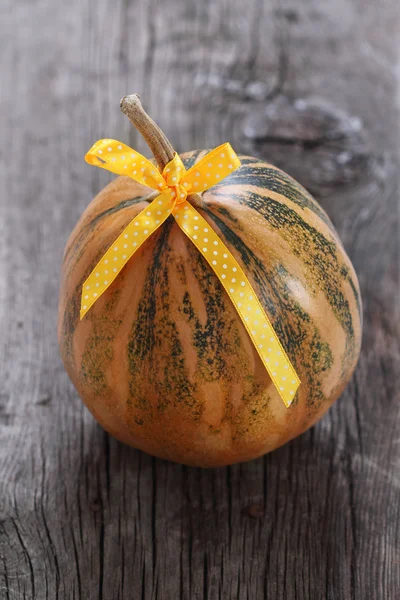 Pumpkin decorated with ribbon — Stock Photo, Image