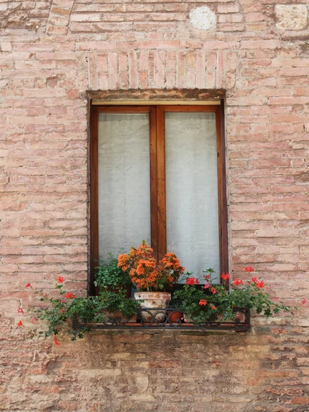 stock image Italian window (Tuscany, Italy)