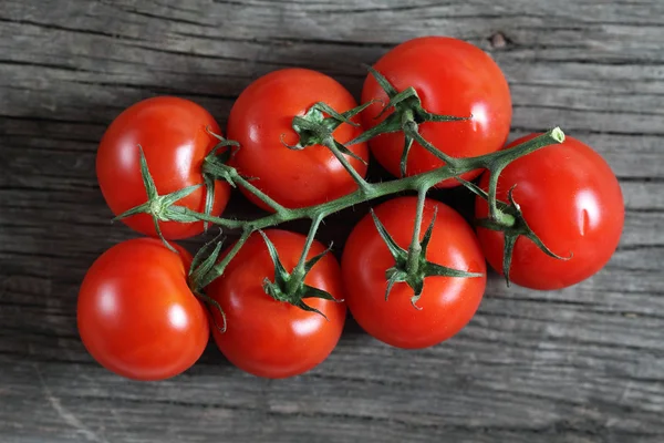 Nemli kırmızı domates — Stok fotoğraf