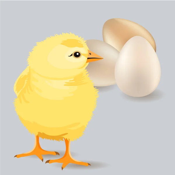Pollo amarillo pequeño — Vector de stock