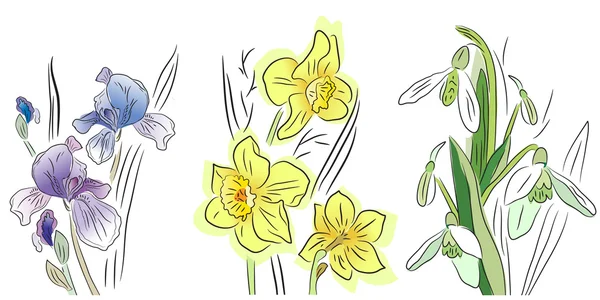 Kolekce jarních květin — Stockový vektor