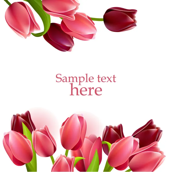 Cornice floreale con tulipani — Vettoriale Stock