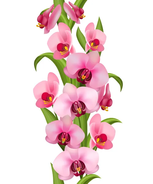 Vertikální bezešvé vzor z orchideje — Stockový vektor