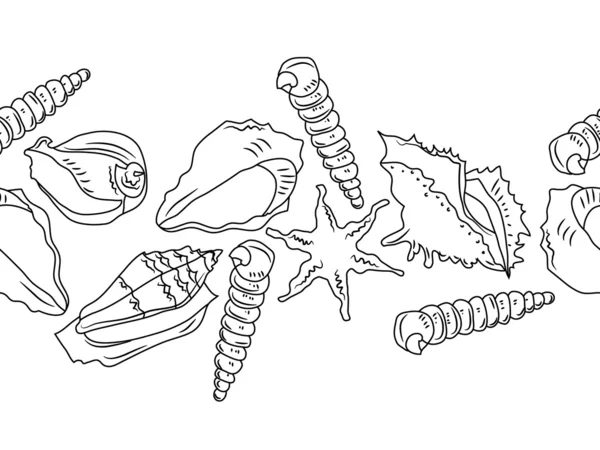 Frontière océanique sans couture avec différentes coquilles — Image vectorielle