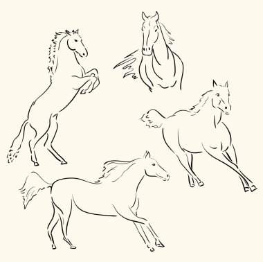 Horses line art clipart