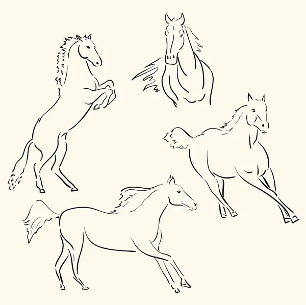 Horses line art — Stock Vector