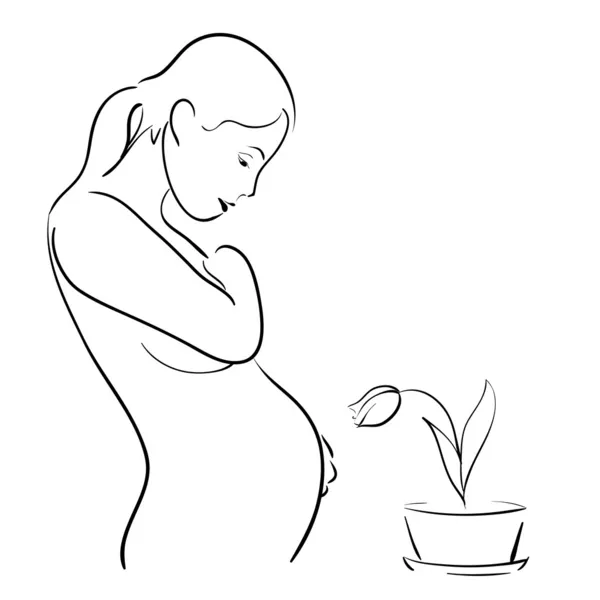 怀孕的妇女和一朵郁金香 — 图库矢量图片