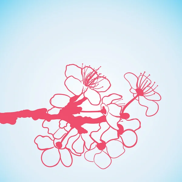 Fleurs Sakura — Image vectorielle