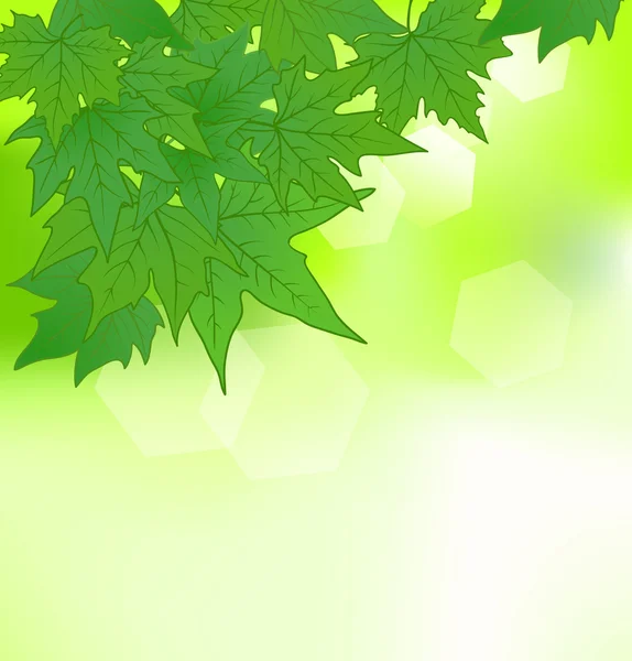 Fondo natural con hojas verdes — Vector de stock