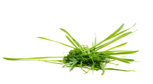 Un mucchio di erba 8 — Foto Stock