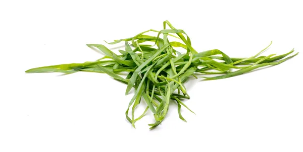 Bunch Of A Grass 5 — Stock Photo, Image