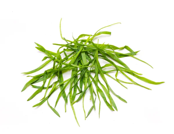 Bunch Of A Grass 6 — Stock Photo, Image