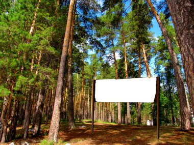 Signpost in the forest clipart