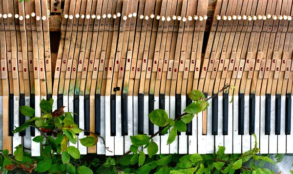 Altes kaputtes Klavier — Stockfoto