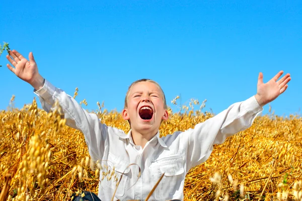 Garçon dans le champ de blé — Photo