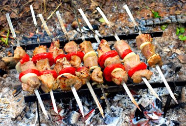 Barbecue clipart