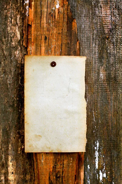 Papel em branco sobre fundo de madeira — Fotografia de Stock