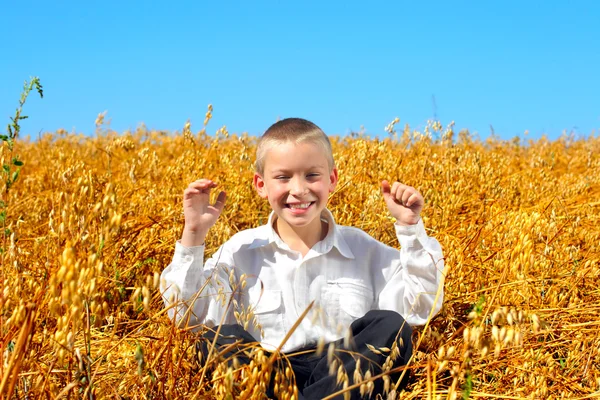 Jongen in tarweveld — Stockfoto