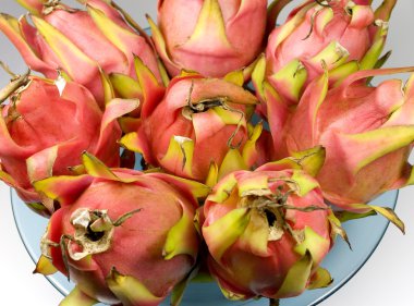 Dragon meyve (Pitaya)