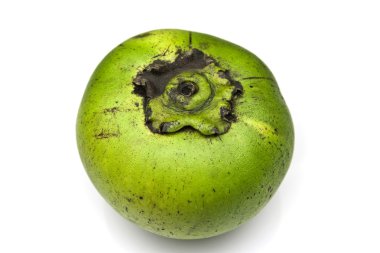 sapote