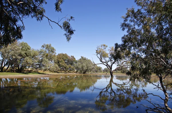 stock image Water Hole (Billabong)