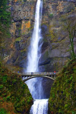 Multnomah Falls. clipart