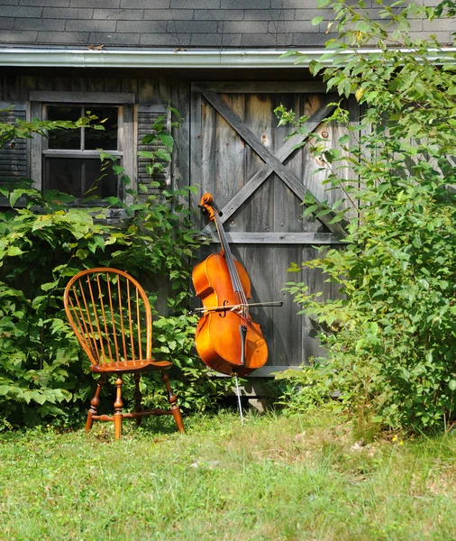 Cello musikinstrument — Stockfoto