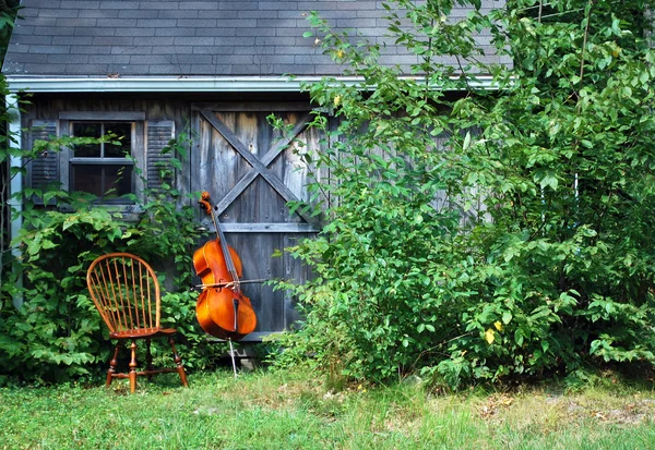 Instrumento musical de violoncelo — Fotografia de Stock