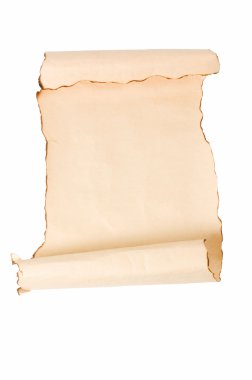 Vintage roll of parchment background i clipart