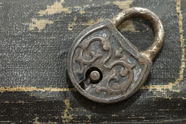 The old lock isolated on a leather background — Stock Photo, Image