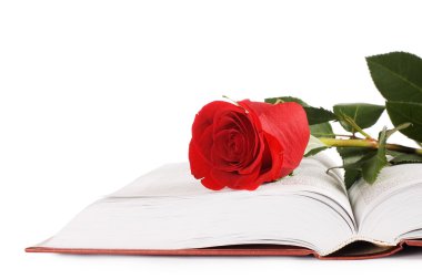 Beautiful red rose on the book clipart