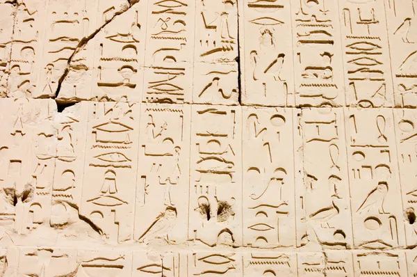 Jeroglíficos egipcios. Patrón del templo de Karnak — Foto de Stock