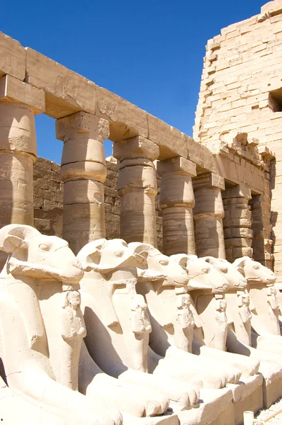 Columns at Karnak Temple, Luxor, Egypt — Stock Photo, Image