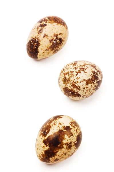 Egg quail isolated on white background — Stock Photo, Image