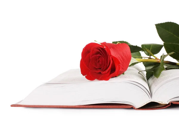 Beautiful red rose on the book — Stock Photo, Image
