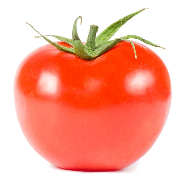 Tomate isoliert auf weißem Hintergrund — Stockfoto
