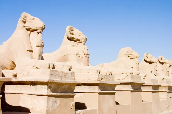 Rzeźby w starożytnej świątyni. Luxor — Zdjęcie stockowe