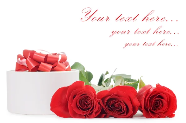Czerwona róża izolowana na białym tle — Zdjęcie stockowe