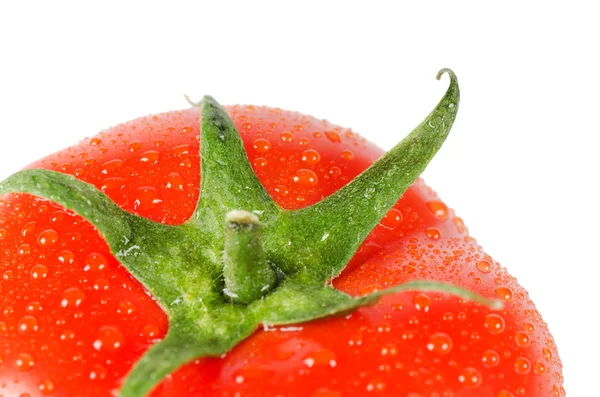 Tomate rouge fraîche isolée sur blanc — Photo
