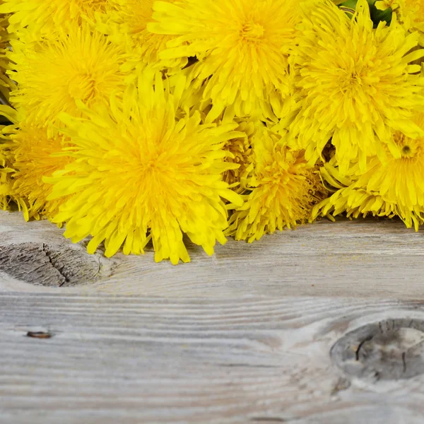 Yellow dandelion on a wooden surface — Stock Photo, Image
