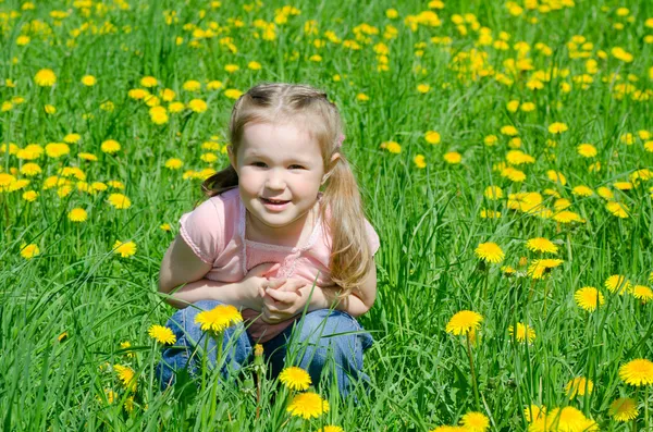 Küçük güzel kızın dandelions toplar — Stok fotoğraf