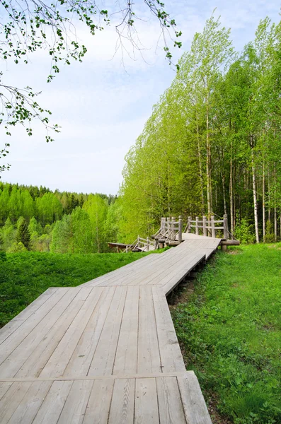 The old wooden bridge in wood — Stock Photo, Image