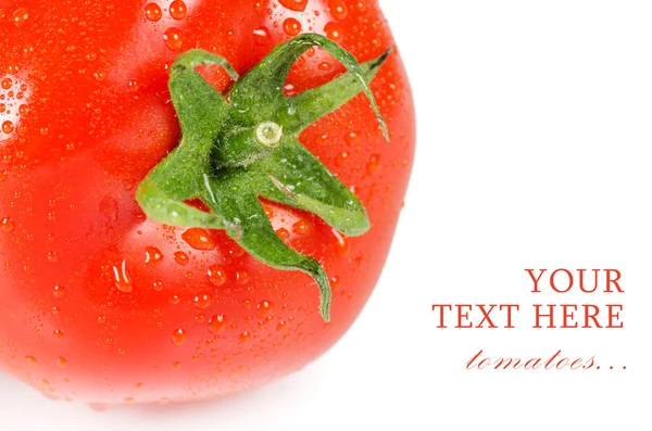 Pomodoro rosso isolato su sfondo bianco — Foto Stock