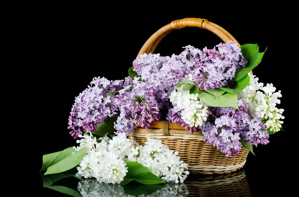 Lilac bouquet in a wattled basket — Stock Photo, Image